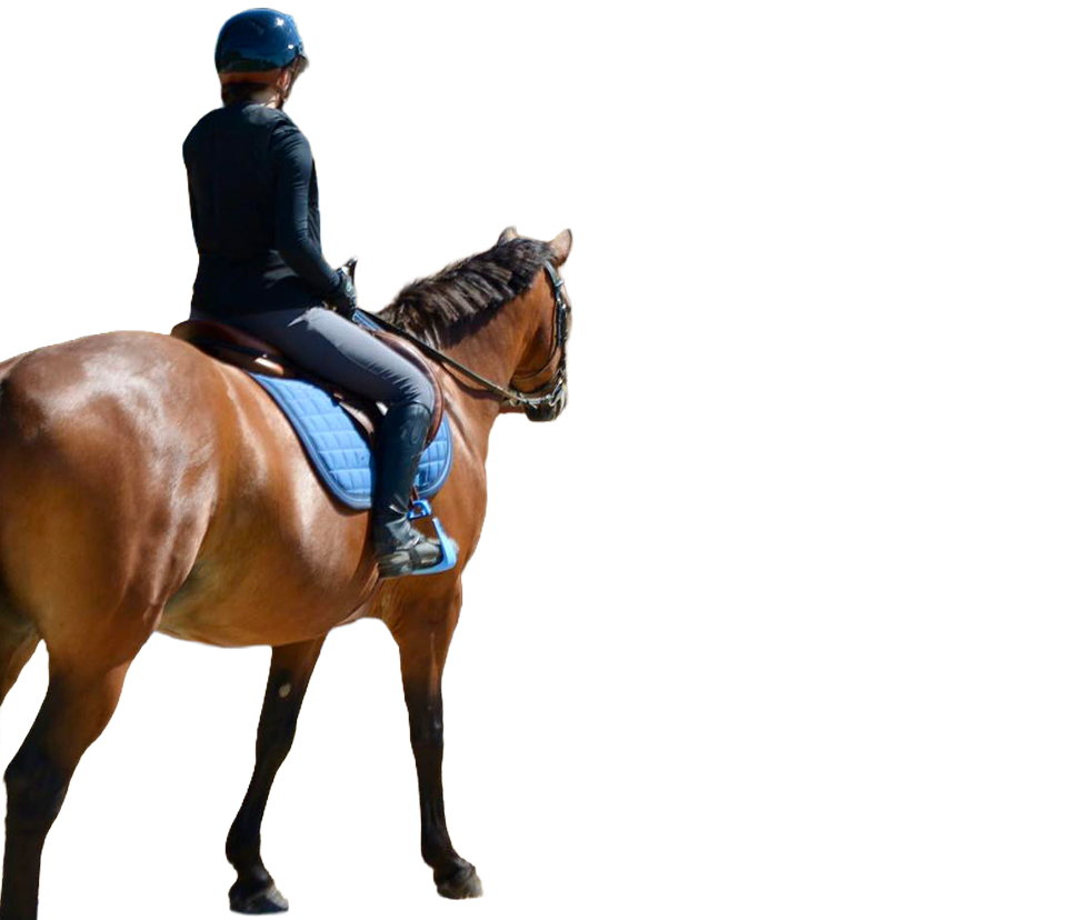 Cheval infra